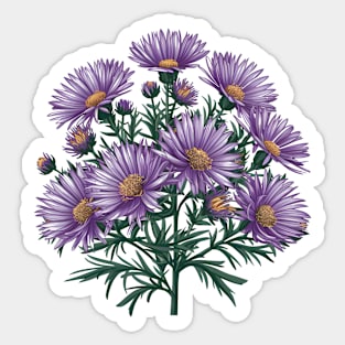 Purple Aster Sticker